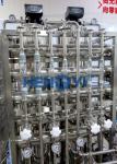 500L/H Stainless Steel RO Water Treatment Machine with EDI System