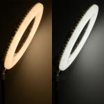 Wholesale Battery Powered LED Camera Ring Light for photography live streaming