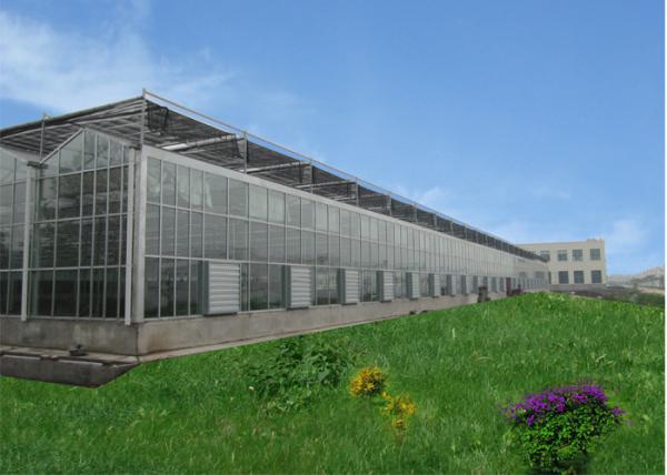 Remote Control Agricultural Greenhouse , Multi Span Glass Greenhouse For Tomato