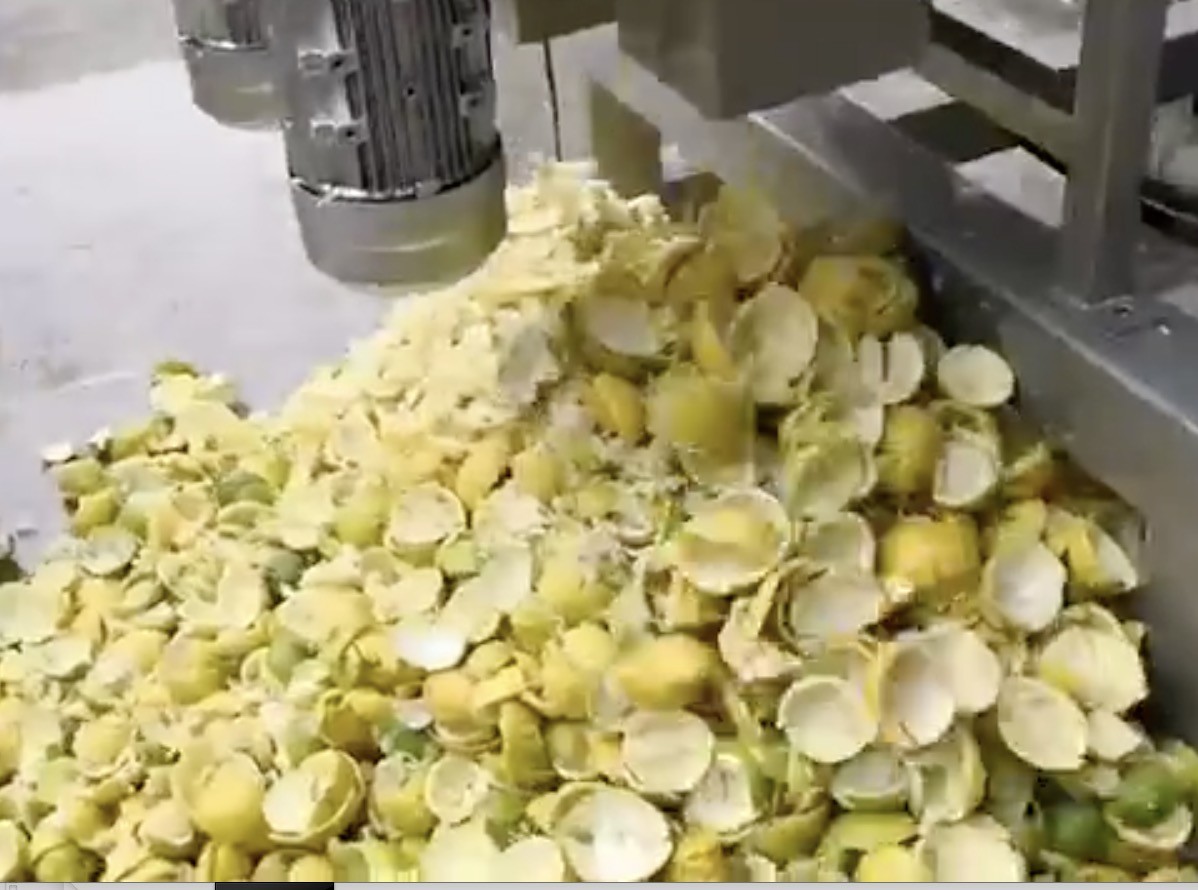 citrus juice extract machine , citrus skin remover, citrus peeler equipment