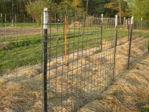 China Painted Farm 0.95lb/Ft 800mm Height Steel Fence T Post factory