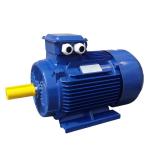 YE3-100L-2 IE3 Motor With Totally Enclosed Protect Feature 220/380/460V Voltage