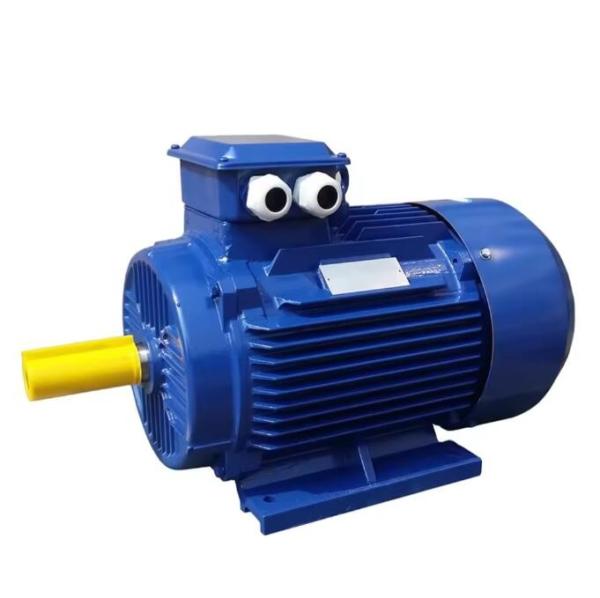 YE3-100L-2 IE3 Motor With Totally Enclosed Protect Feature 220/380/460V Voltage