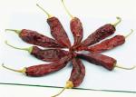 10 - 20cm Red Jinta Chilli 8000-12000SHU For Marinades And Cooking