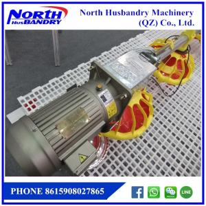 China Automatic Poultry House Animal feeding line for broiler chicken Poultry equipment factory