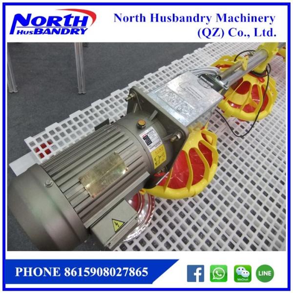 Automatic Poultry House Animal feeding line for broiler chicken Poultry
