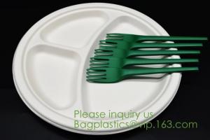China Biodegradable, Sugar Cane, Sugarcane Bamboo Pulp, Bento Box, Bagasse Food Container, Take Out Box, Plates & Bowls factory