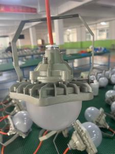 China Zone1 2 21 22 Explosion Proof Led Lighting Electrical 10-100W factory