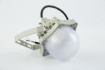 100W Explosion Proof High Bay Light AC220V 50/60Hz IP66 with 70±2CRI New Design