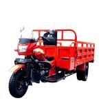 300cc Motorcycle Tricycle Red Body 3 Wheel Cargo Standard Size 12V for Global