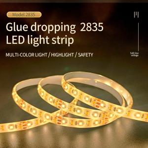 China IP65 Drip Lamp SMD 2835 LED Strip Waterproof Bright Soft Lamp 12V/24V factory