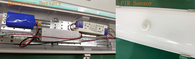 IP65 LED Tri - Proof Light Tunnel Light RGB Dimming 1