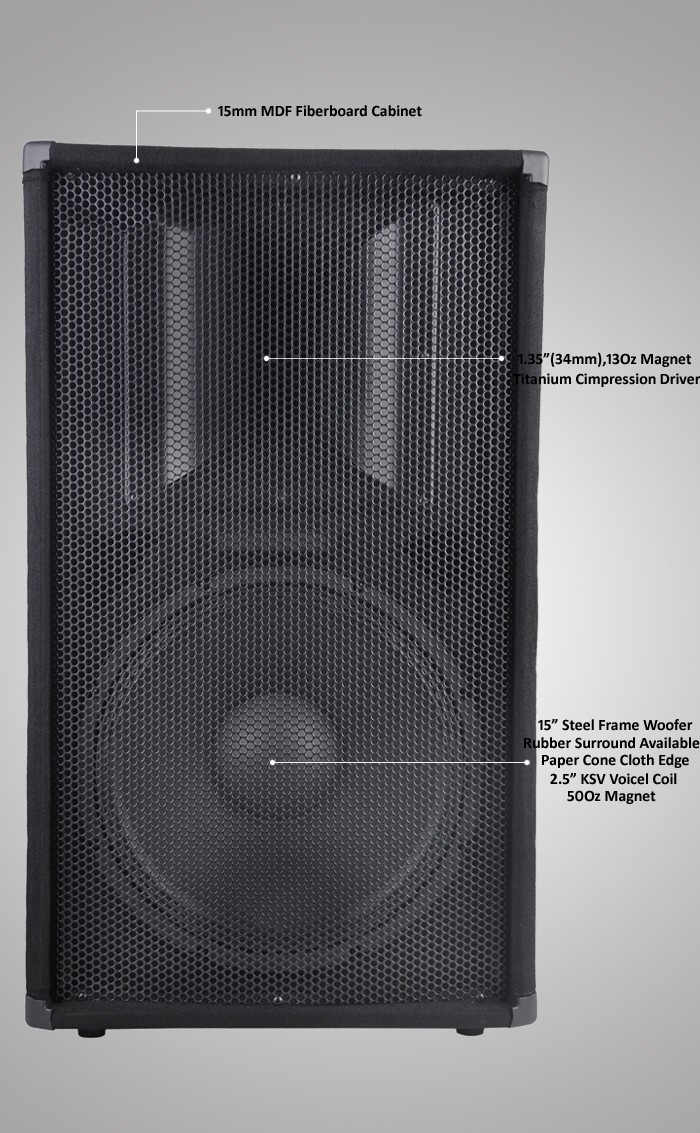 15 Inch 300W Wooden Cabinet Professional Speaker Box Design WPA15