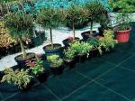 100gsm Anti Weed Polypropylene Ground Cover PP Woven Fabric Ground Cover Weed