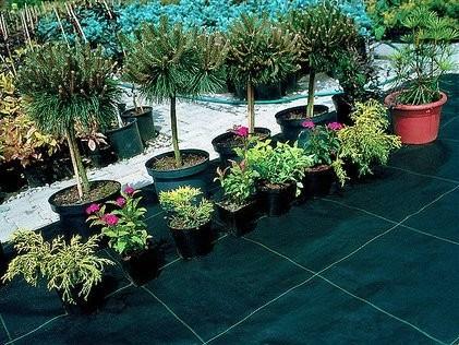 100gsm Anti Weed Polypropylene Ground Cover PP Woven Fabric Ground Cover Weed