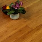 Modern Solid Bamboo Floor For Popular Long Wood Plank Flooring
