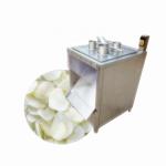 220V 110V Vegetable Chopper Machine Vegetable Cutter Machine 0.75KW