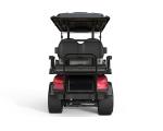 Street Legal Golf Cart NL-JA4 2.G Electric Buggy for Sightseeing Club 10%