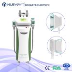 Popular cryo cellulite freeze slimming cryotherapy body shaping machine from