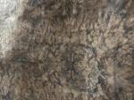 0.5mm Walnut Burl Veneer with Kraft Paper Back for Furniture Usage