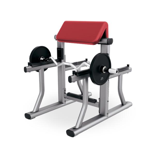 Biceps Gym Fitness Equipment , Forearm Curl Machine Luxury Outstanding