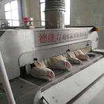 DJL China Made Freezer Food Processing Machine Stainless Steel Belt IQF Tunnel