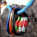 OEM Customized Aluminum Locking Carabiner Clips for Climbing and Hammock Safety