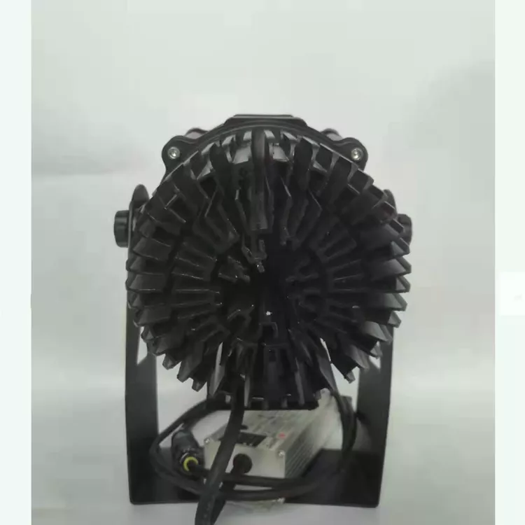 80w Outdoor Led Projector Light Water Proof For Park Garden And Museum