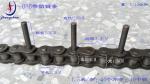 08B Pin Chain Egg Conveyor System Spare Parts For Poultry Farm