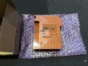 China Yokogawa SCP401-11 Yokogawa CPU PLC SCP401-11 New in Stock Great Discount factory