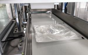 China Customizable Production Speed on Advanced Automatic Packaging Machine for Customer Requirements factory
