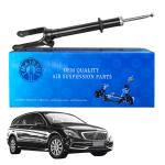 Shock Absorber 2513200730 2513203013 2513201931 2513202231 For Mercedes-Benz