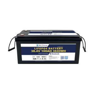 China OEM / ODM 36V LiFePO4 Battery with 100A Discharging Current for High Power Marine Applications factory