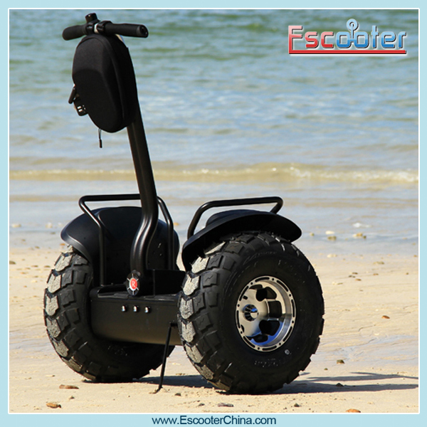 mini new two wheels self balancing electric chariot