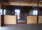 Interior Solid Back European Horse Stalls 12 Feet Length 220cm Height