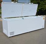 Customer Country Standard Plug Large Capacity Horizontal Double Door Chest