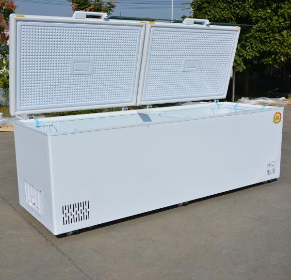 Customer Country Standard Plug Large Capacity Horizontal Double Door Chest
