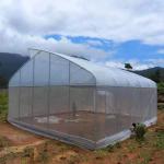 Cheap Good Price Plastic Film Tropical Tunnel House Single-Span Sawtooth Top