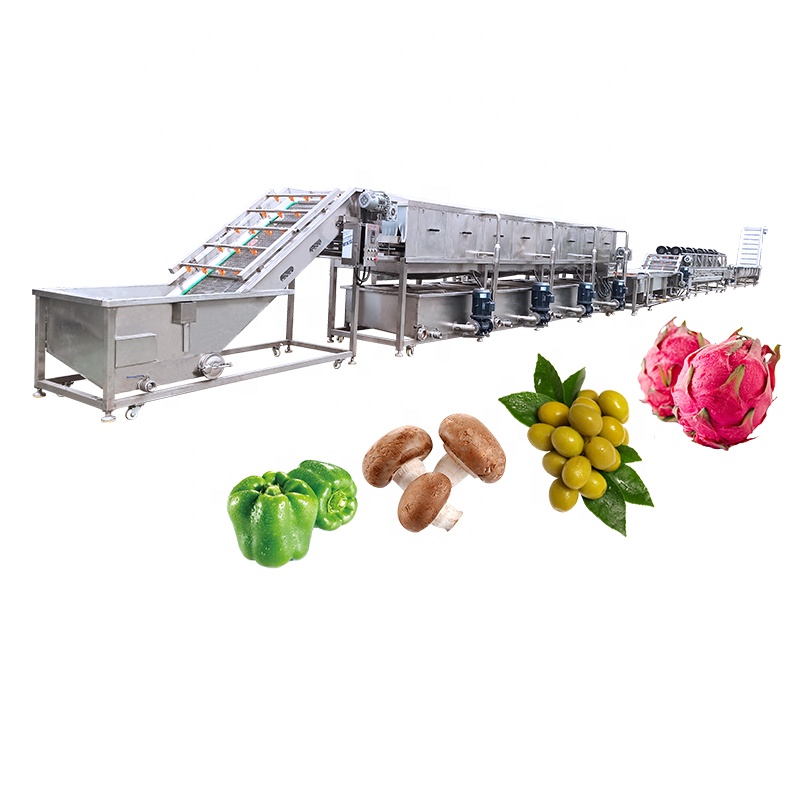 4500w SUS 304 Vegetable Fruits Mushroom Bubble Washing Cleaning Line