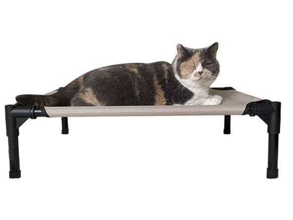 dog camping cot