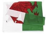 SGS Square Base England Wales Rectangle Banner Flags