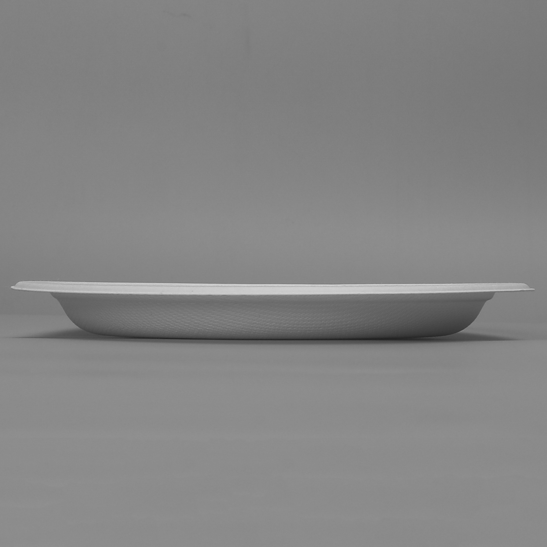 7 Inch 8g Snack Biodegradable Sugarcane Bagasse Plates