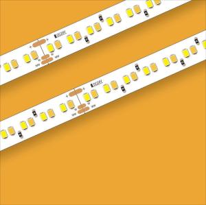 China CCT Ribbon ERP SMD LED Strip light 2835LED Tunable White 256leds Each Meter factory