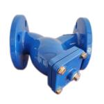 OEM Ductile Iron Y Strainer 2 Inch With SS Screen
