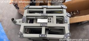 China 100kg Platform Bench Weight Scale 30x40cm factory