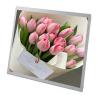 Buy cheap 30 Pin 19 Inch Small Lcd Panel Advertising Display Sunlight Readable Lcd Module from wholesalers
