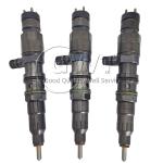 diesel engine Common Rail Fuel Injector A4710700187 A4710700287 A4710700387