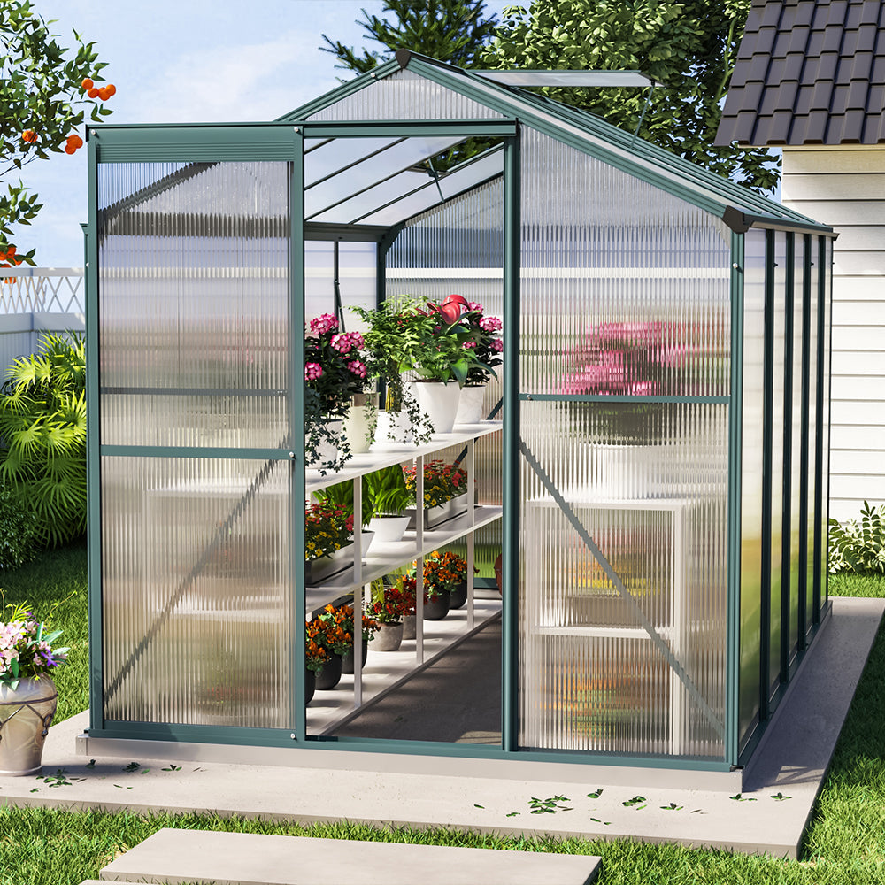 10x6 ft Transparent Garden Greenhouse Polycarbonate with 2 Vents Shed Type Transparent
