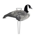 OEM ODM Plastic EVA Canada Snow Goose Decoy Upright / Feeder Style With Flocked