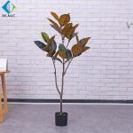 Large Potted Ficus Tree , Indoor Decoration Fake Rubber Tree Plant 5-10 Years